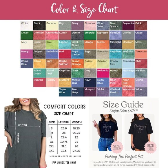 Philadelphia Football Classic Feel Comfort Colors T-Shirt 166 - Picture 5 of 5